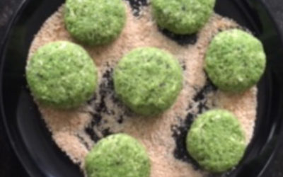 tuinbonenburgers